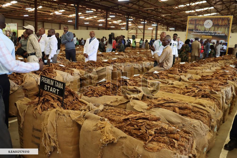 MALAWI-TABACCO MARKET SEASON-OPENING