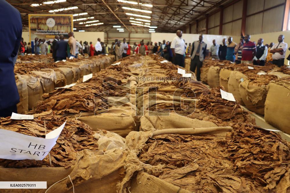 MALAWI-TABACCO MARKET SEASON-OPENING