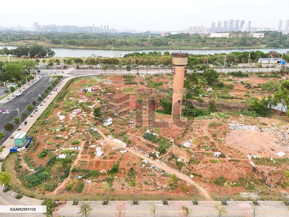 Private Vegetable Garden in Nanning