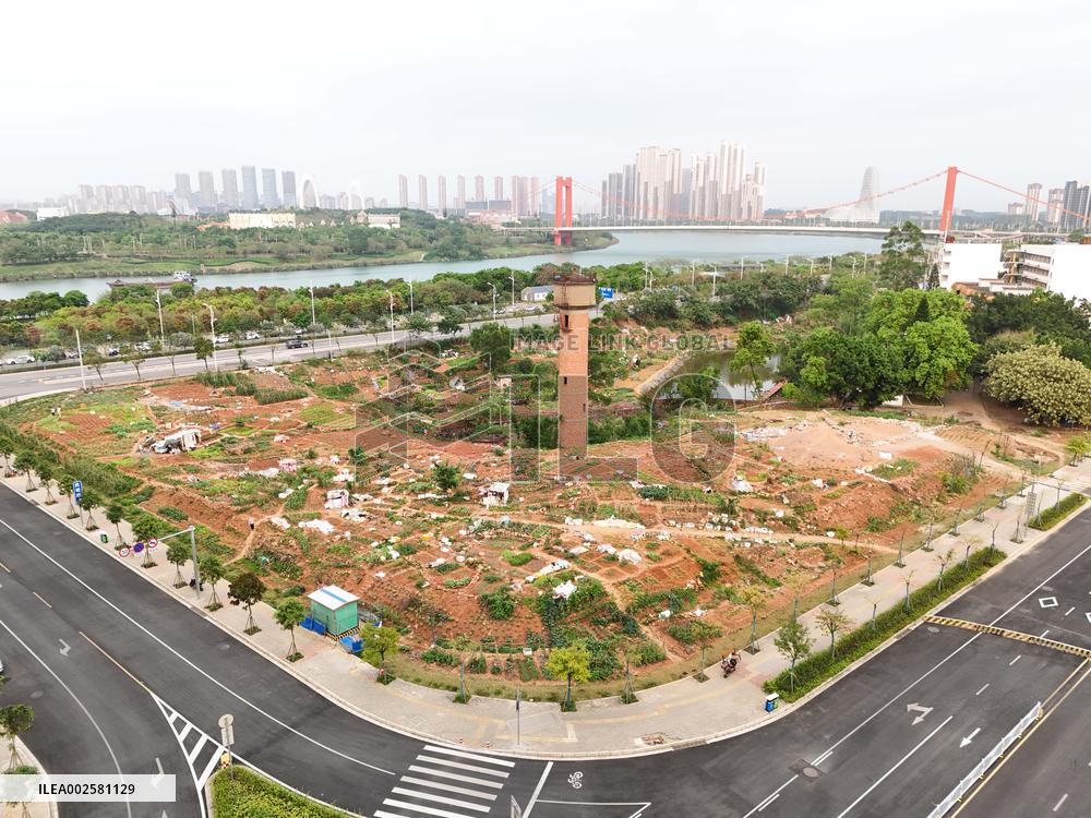 Private Vegetable Garden in Nanning