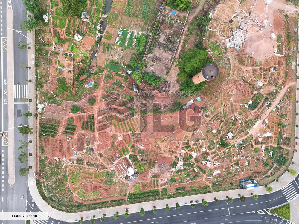 Private Vegetable Garden in Nanning