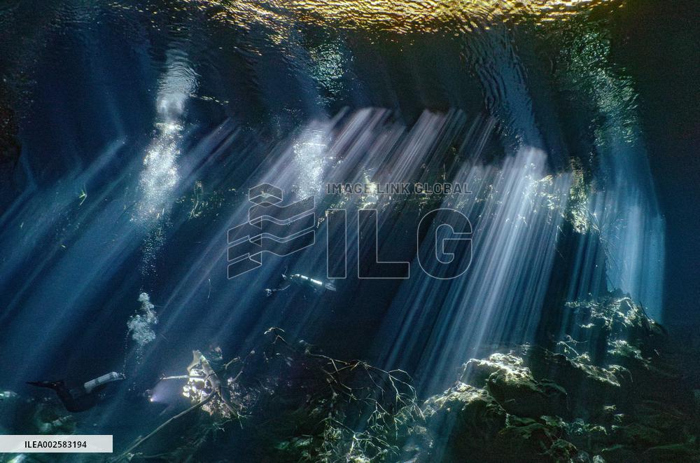 Scuba Diving In World Famous Cenotes In Tulum - Mexico