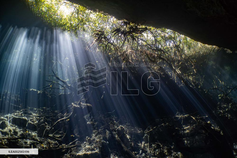 Scuba Diving In World Famous Cenotes In Tulum - Mexico