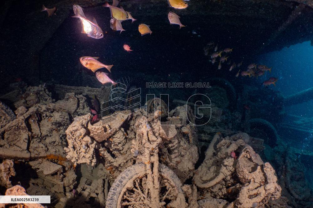 Ship Wrecks of North Red Sea - Egypt