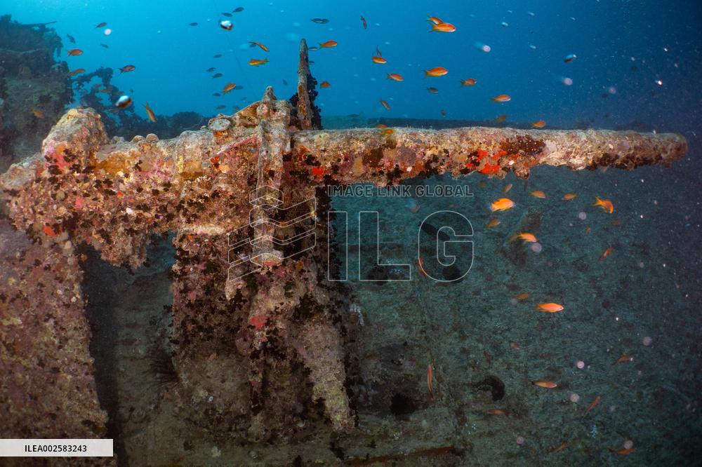 Ship Wrecks of North Red Sea - Egypt