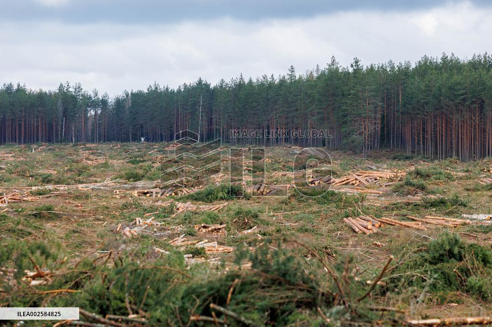 Expanding Nursipalu training ground