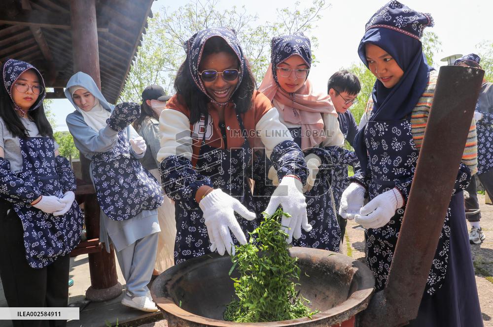A Tea Plantation in Huzhou