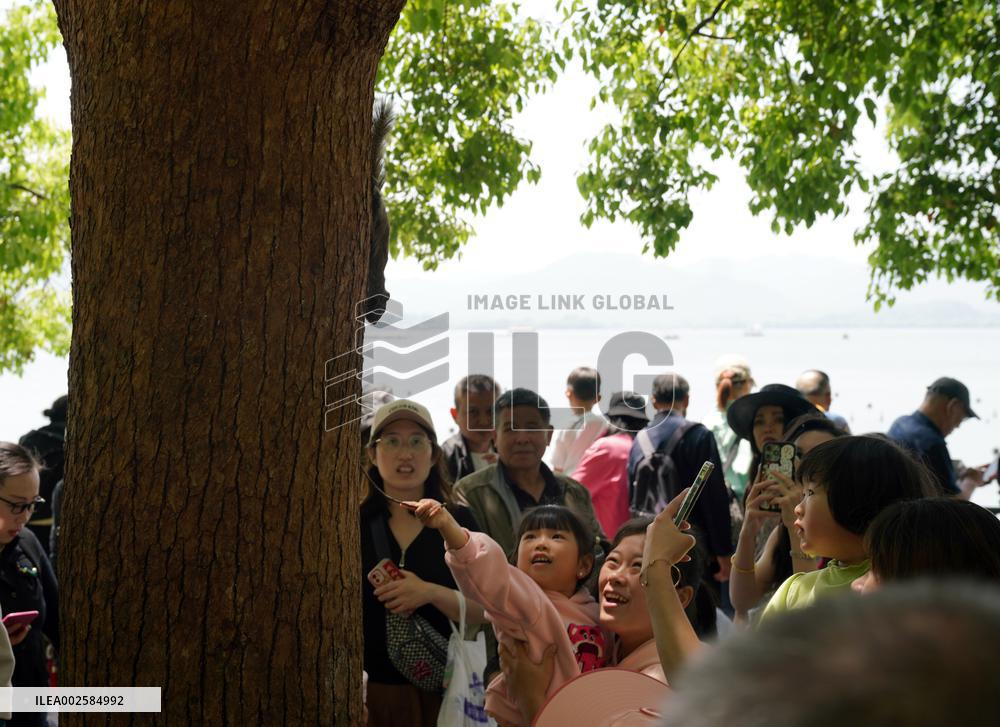 CHINA-ZHEJIANG-HANGZHOU-WEST LAKE-TOURISM (CN)