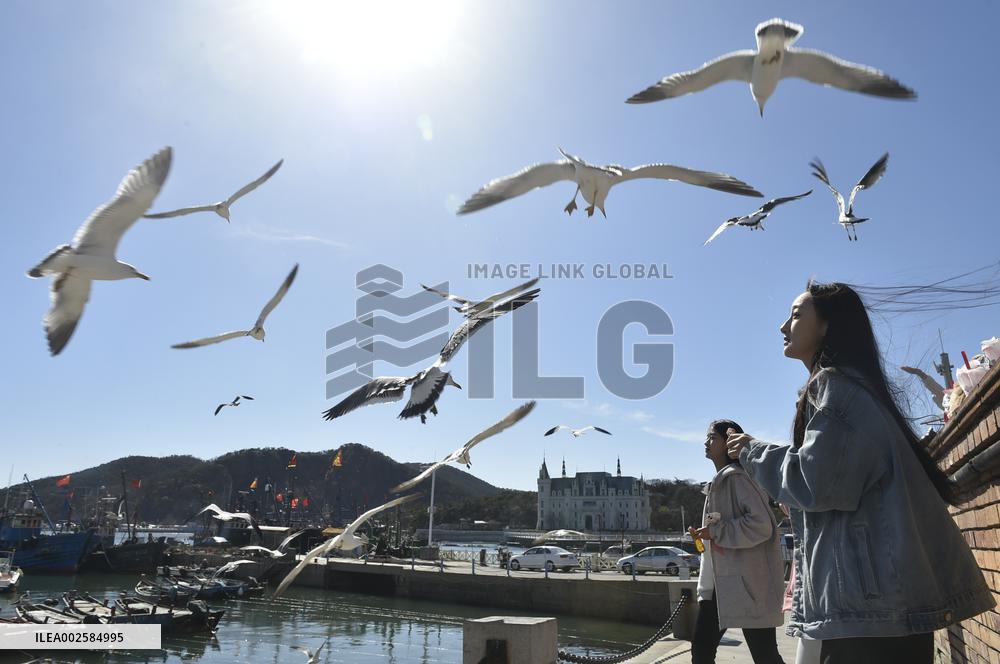 CHINA-LIAONING-DALIAN-TOURISM (CN)
