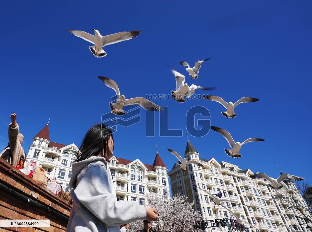 CHINA-LIAONING-DALIAN-TOURISM (CN)