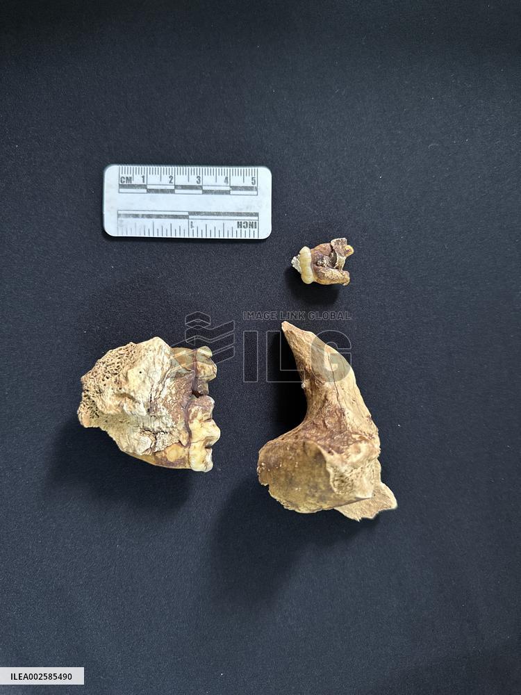 CHINA-GUIZHOU-SHUANGHE CAVE-PANDA FOSSIL SITE (CN)