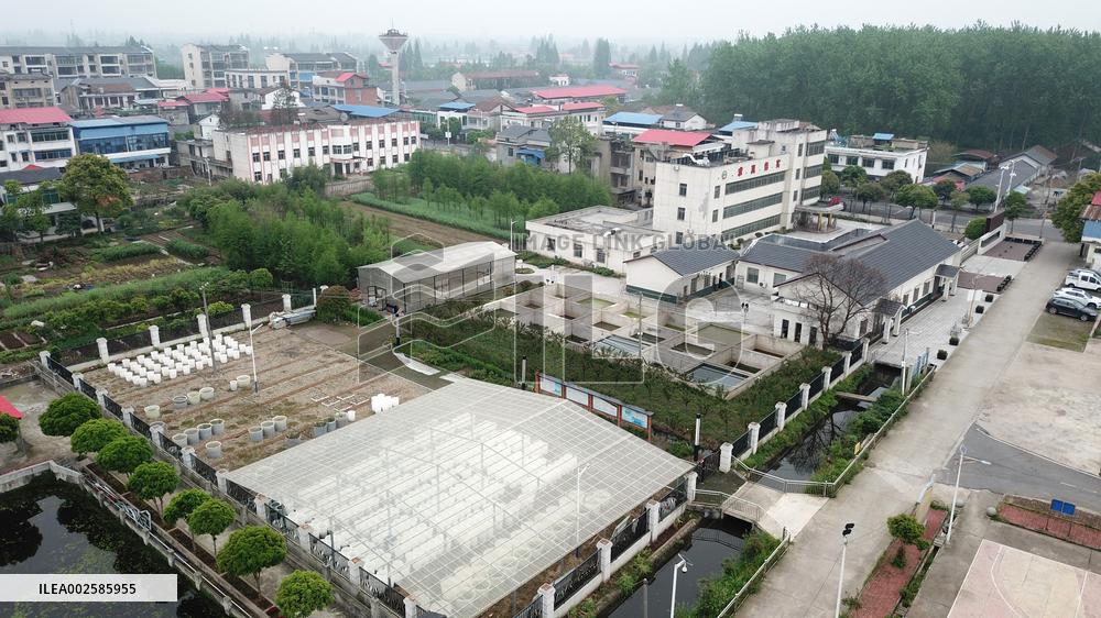 (ChineseToday)CHINA-HUNAN-DATONG LAKE-ECOLOGICAL MANAGEMENT (CN)