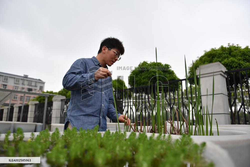 (ChineseToday)CHINA-HUNAN-DATONG LAKE-ECOLOGICAL MANAGEMENT (CN)