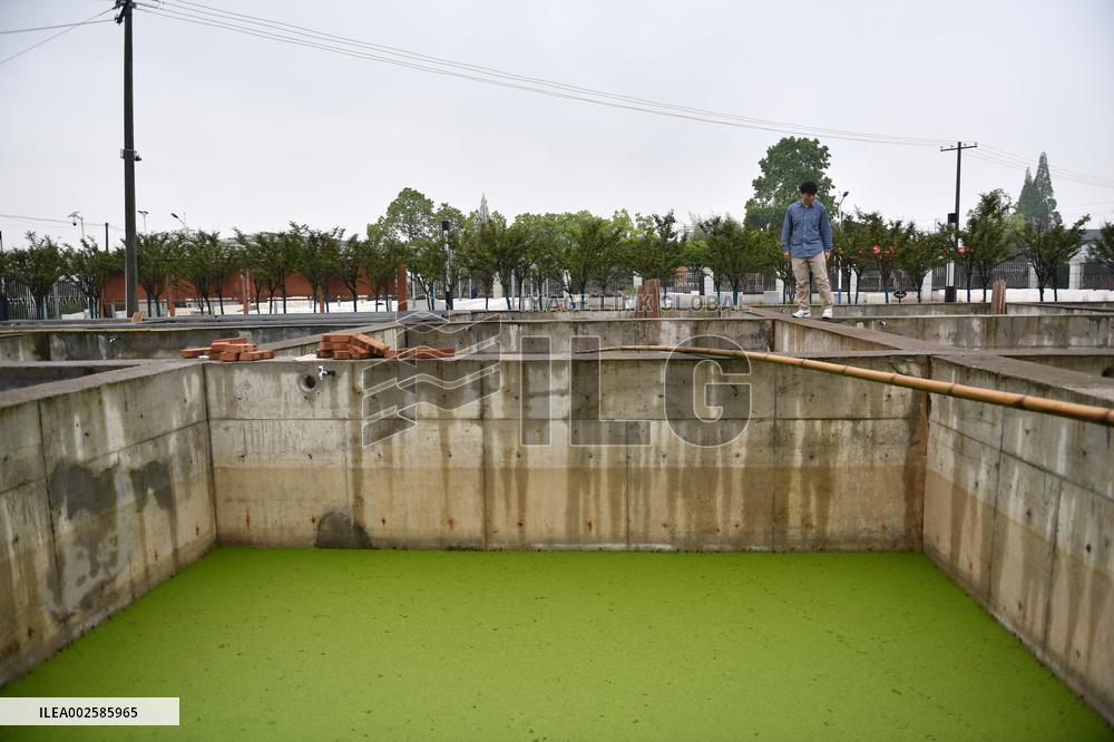 (ChineseToday)CHINA-HUNAN-DATONG LAKE-ECOLOGICAL MANAGEMENT (CN)
