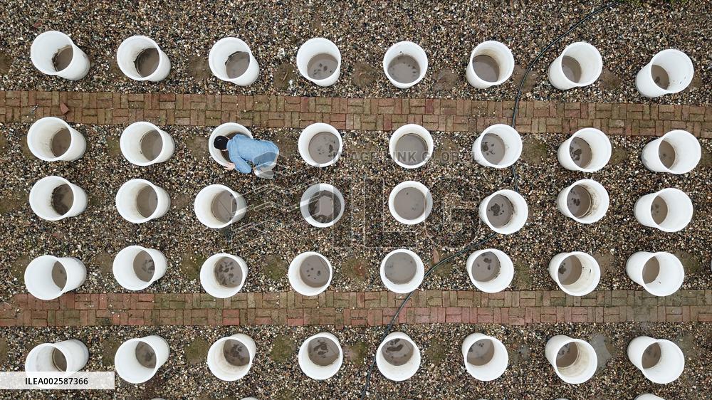 XINHUA PHOTOS OF THE DAY