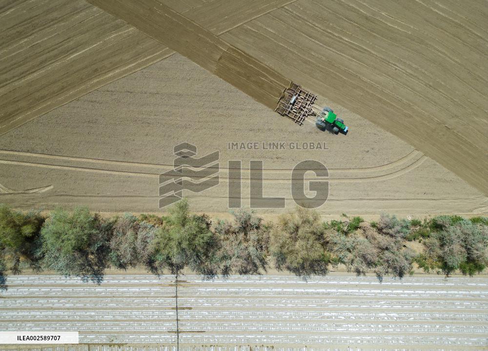 Cotton Sowing in Xinjiang