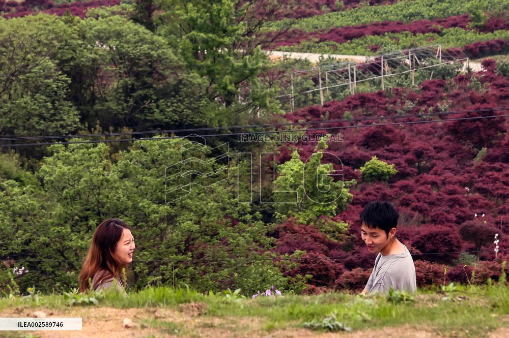 CHINA-ZHEJIANG-YUYAO-VILLAGE-TOURISM (CN)