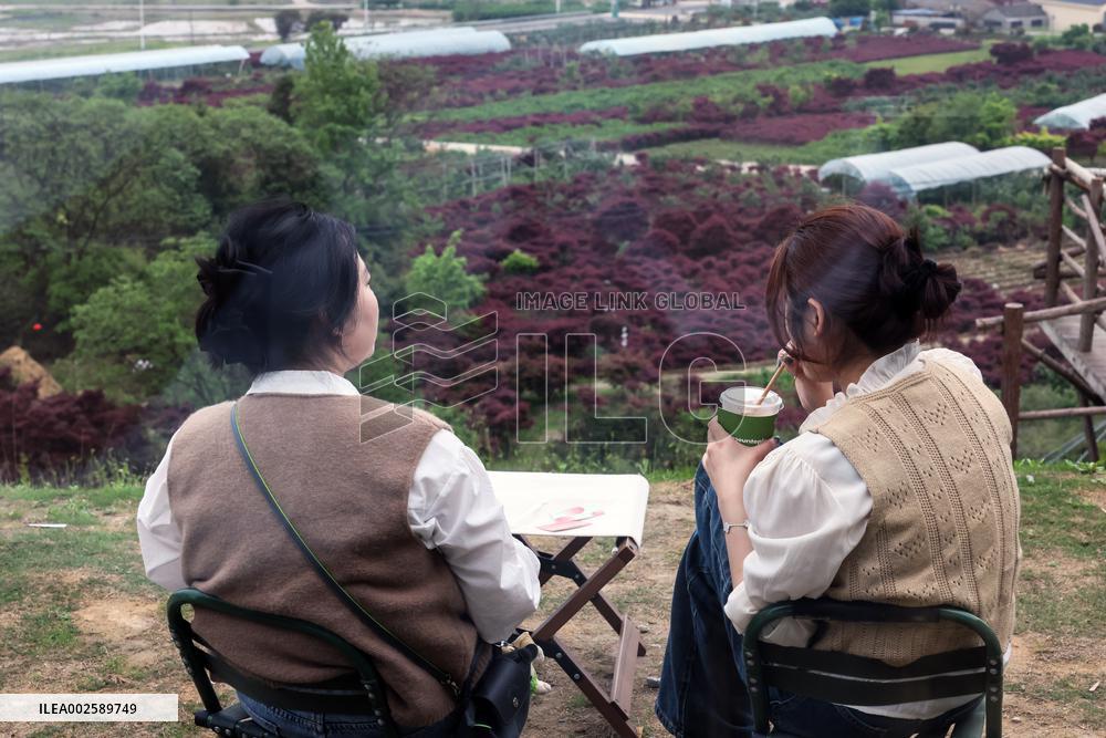 CHINA-ZHEJIANG-YUYAO-VILLAGE-TOURISM (CN)