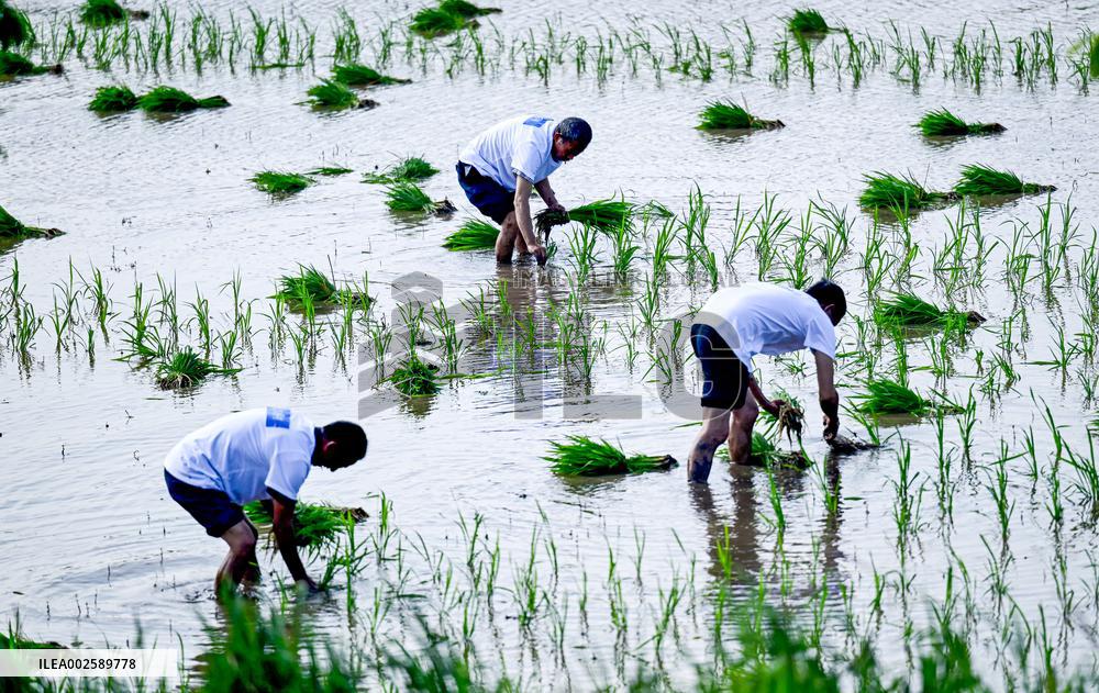 #CHINA-GUYU-FARMING (CN)