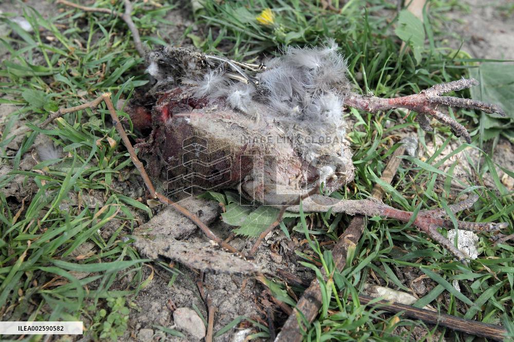 Response effort to Russian strike on Dnipro