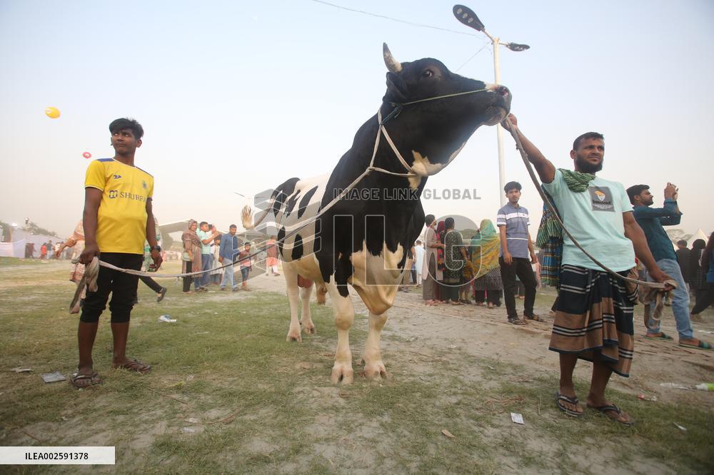 BANGLADESH-DHAKA-LIVESTOCK-EXHIBITION