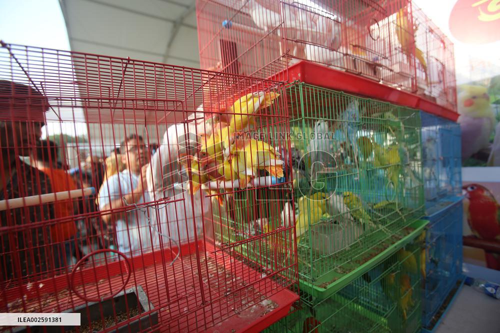 BANGLADESH-DHAKA-LIVESTOCK-EXHIBITION