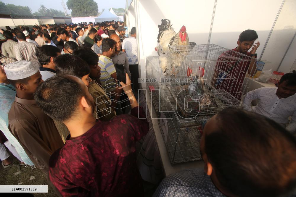 BANGLADESH-DHAKA-LIVESTOCK-EXHIBITION