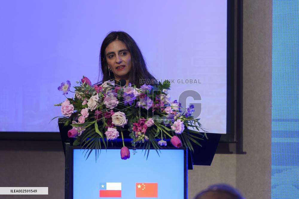 Economic, commercial and cultural promotion conference China (Si