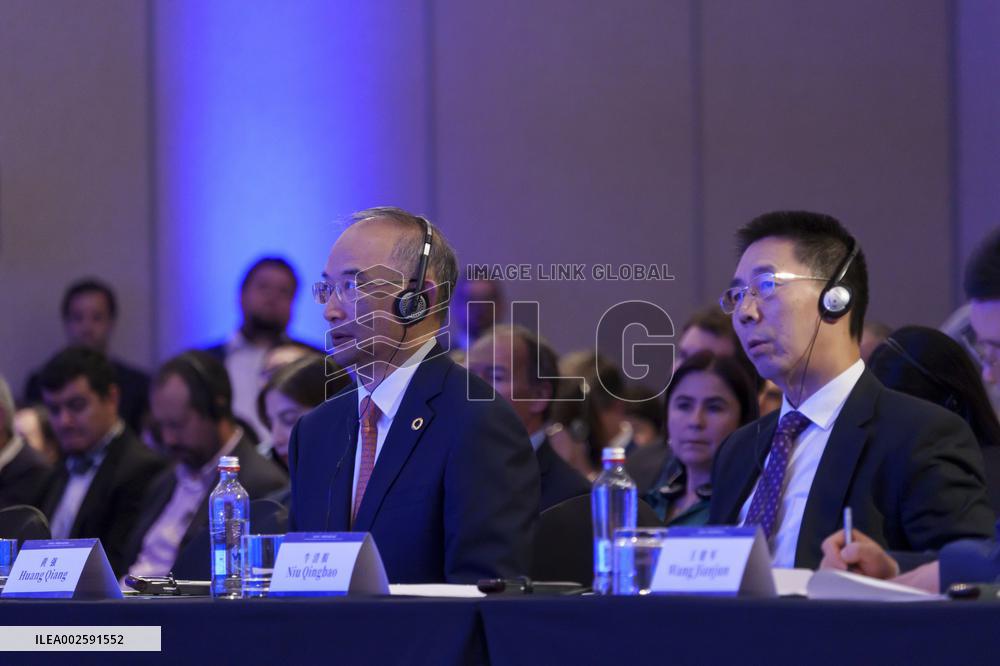 Economic, commercial and cultural promotion conference China (Si