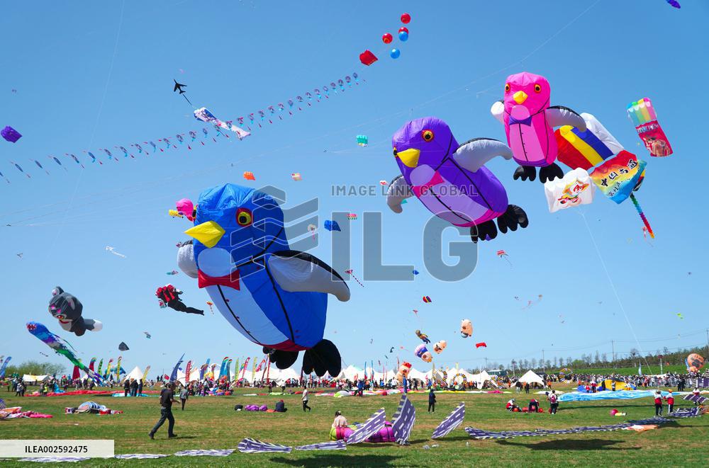 CHINA-SHANDONG-WEIFANG-KITE FESTIVAL (CN)