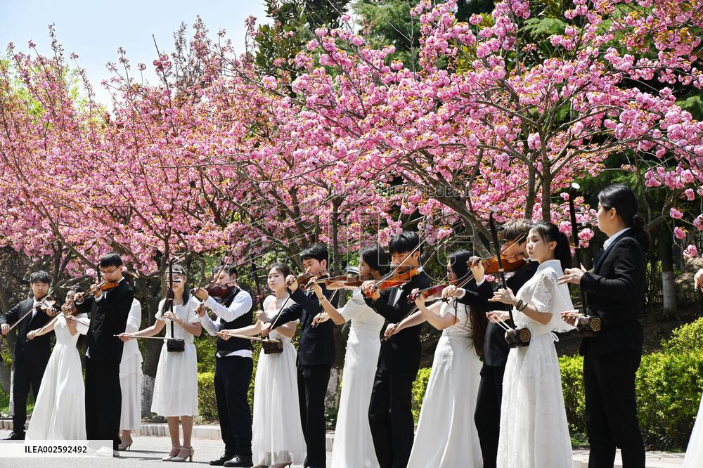 CHINA-SHANDONG-QINGDAO-MUSIC-PERFORMANCE (CN)