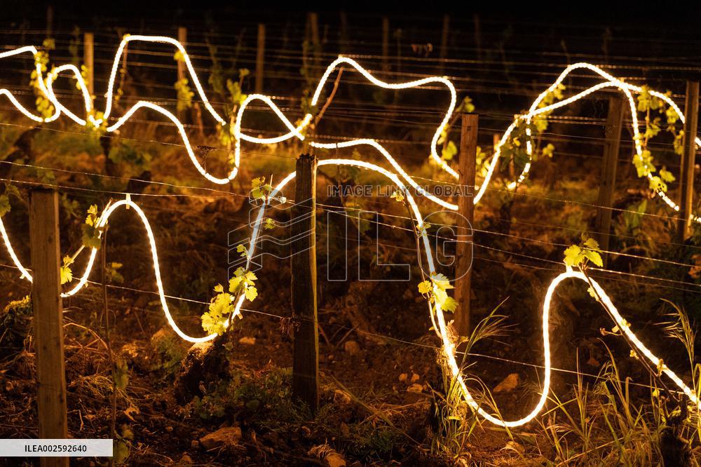 Winegrowers of Chassagne Montrachet fight the frost - Cote d'Or