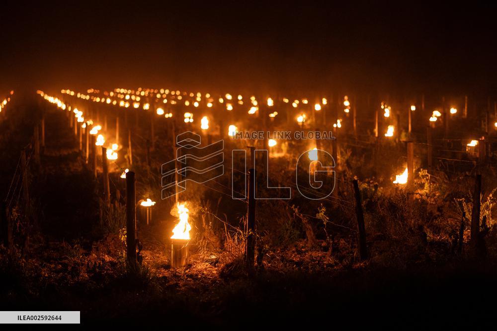 Winegrowers of Chassagne Montrachet fight the frost - Cote d'Or