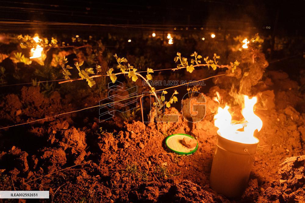 Winegrowers of Chassagne Montrachet fight the frost - Cote d'Or