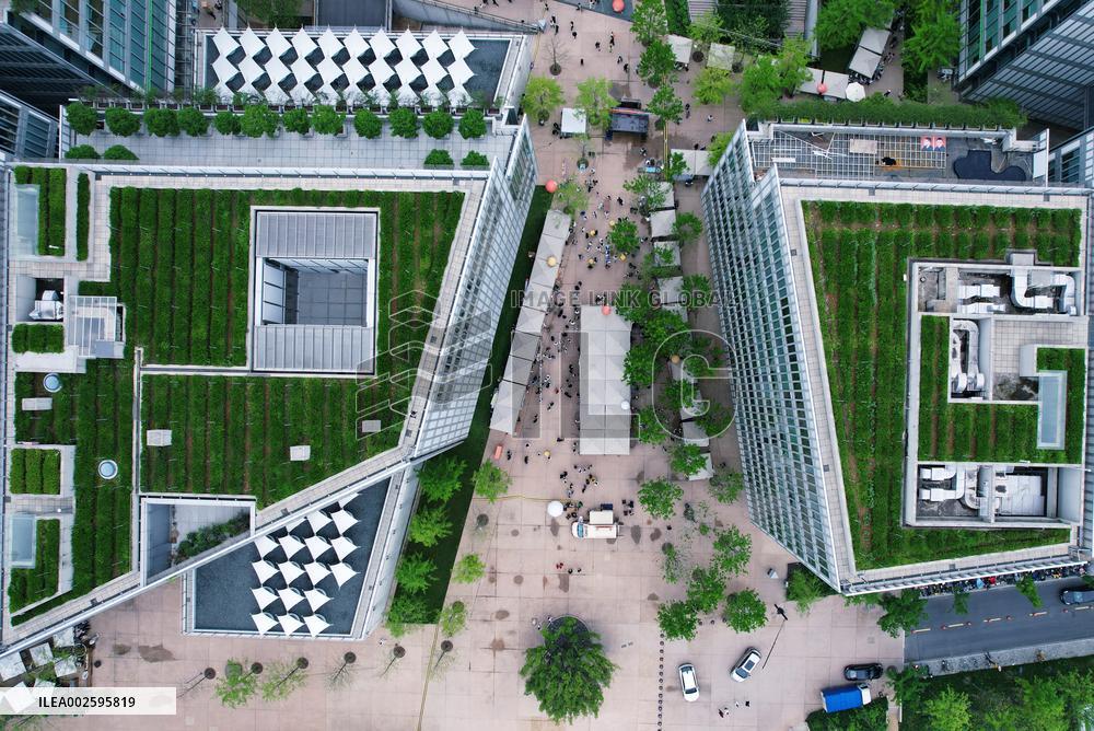 West Lake Longjing Tea Planted on The Roof in Hangzhou