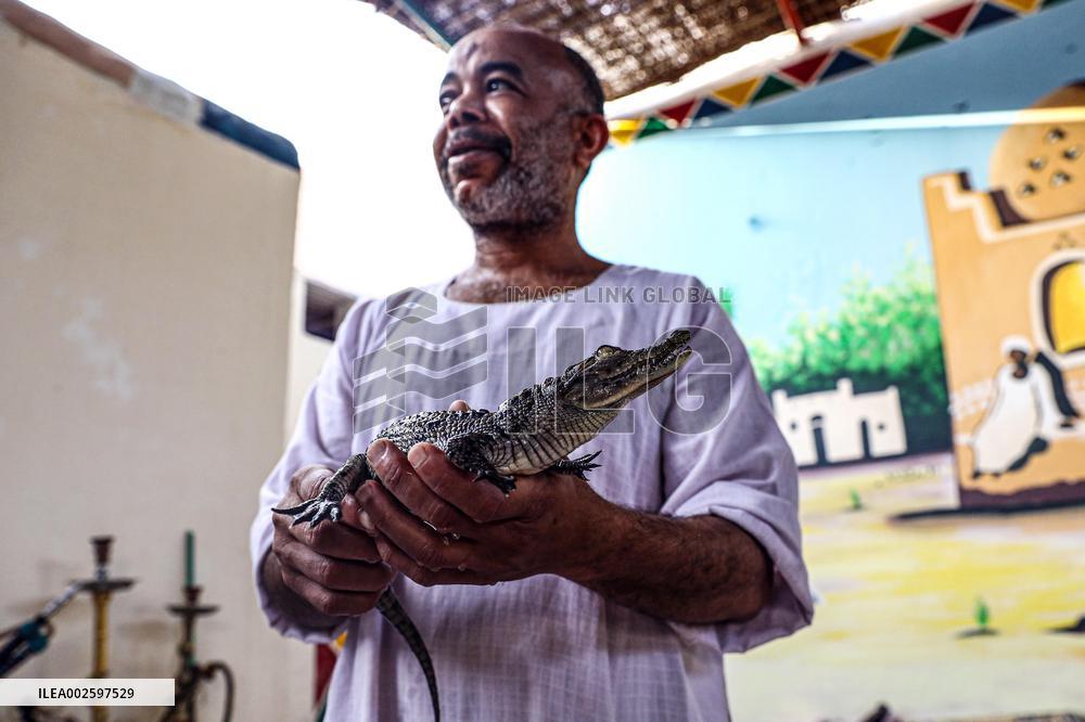 EGYPT-ASWAN-NUBIAN VILLAGE-CROCODILE BREEDING