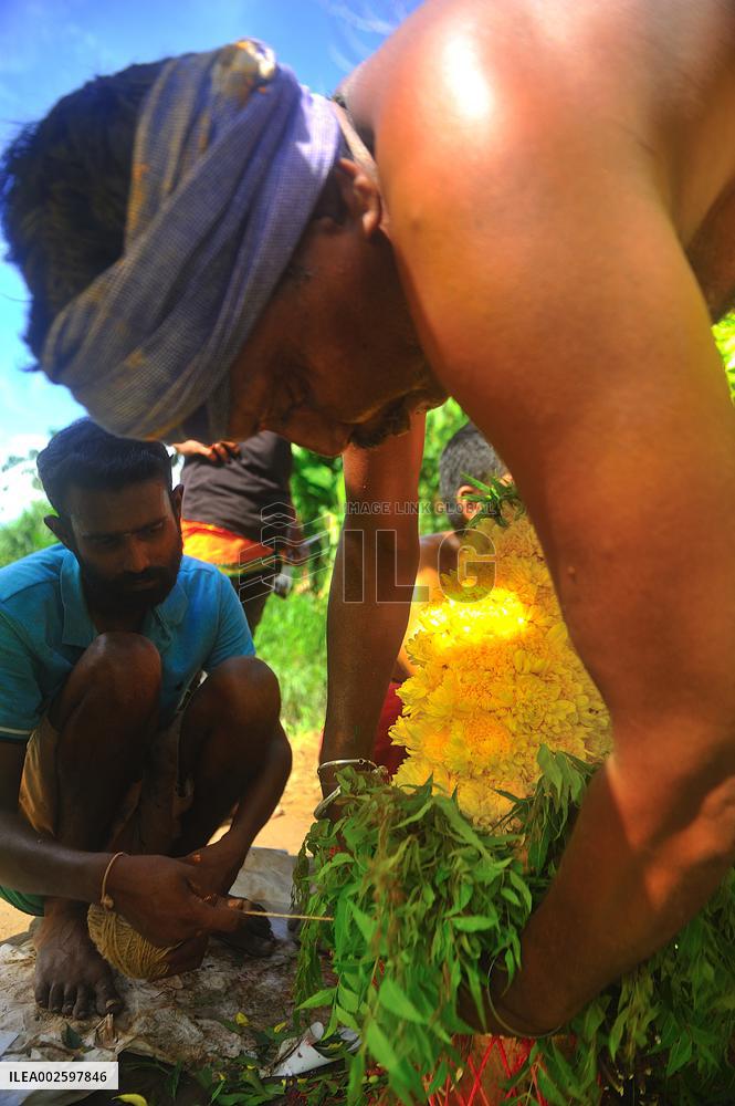 The Chitirai Purnami Tiruvizha Festival - Sumatra