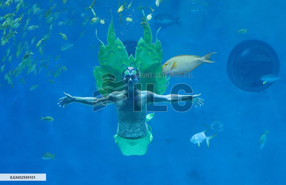 XINHUA PHOTOS OF THE DAY