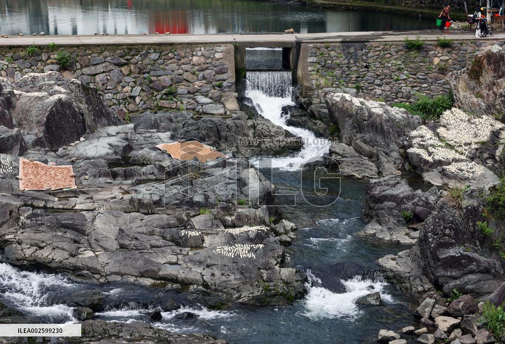 CHINA-ZHEJIANG-YUYAO-ECOLOGICAL INDUSTRY-TOURISM (CN)