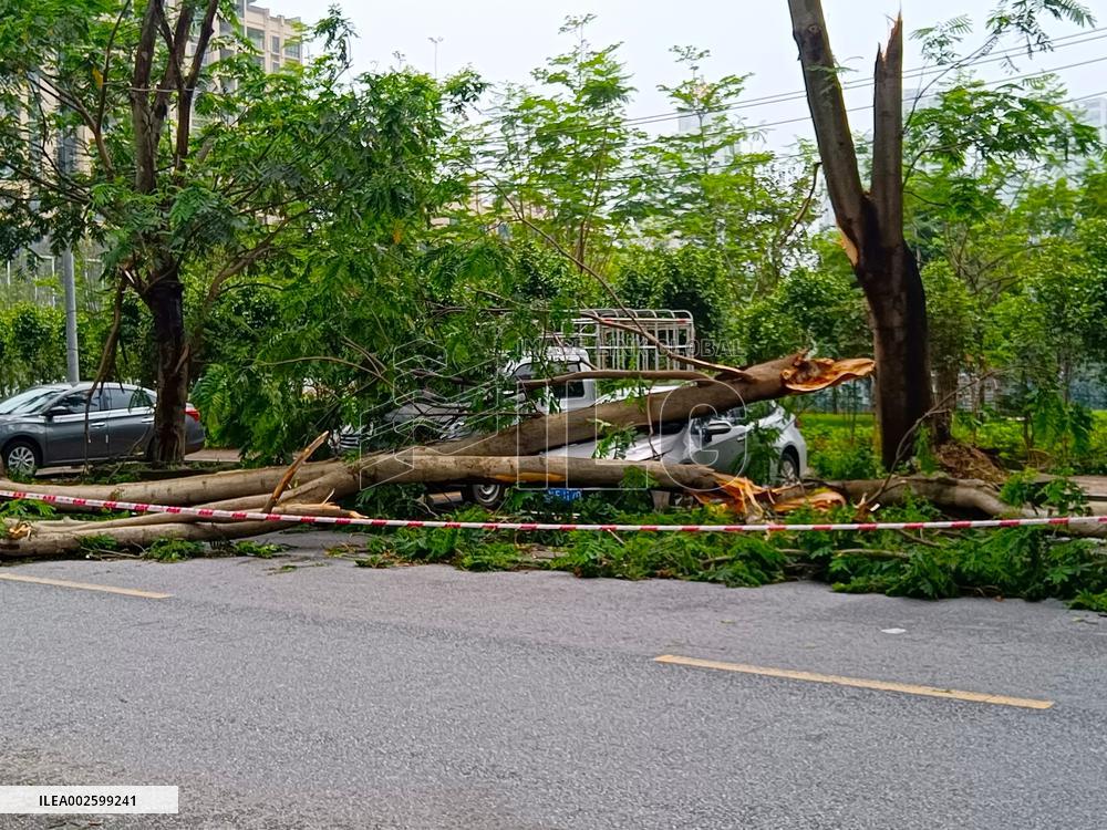 Storm Hit Qingyuan