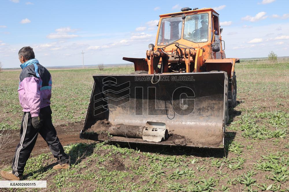 Sowing campaign in Kharkiv region