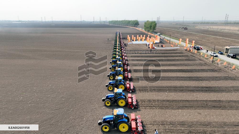 Planting Base in Shenyang