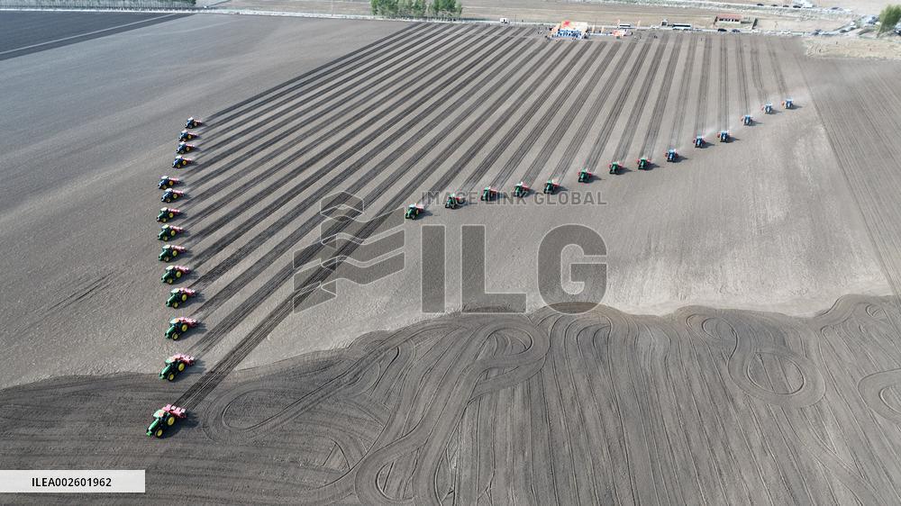 Planting Base in Shenyang