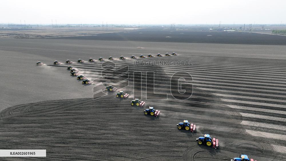 Planting Base in Shenyang