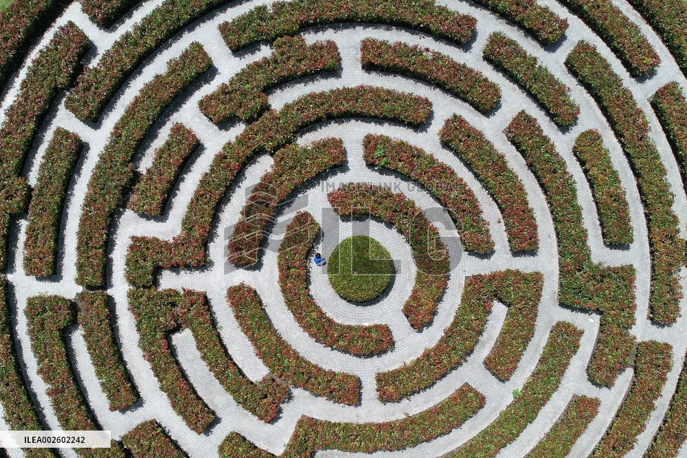 A Plant Maze in Hangzhou