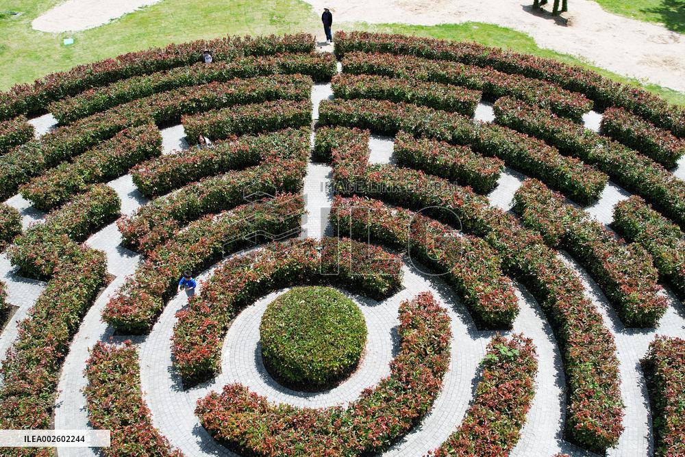 A Plant Maze in Hangzhou