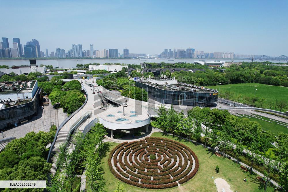 A Plant Maze in Hangzhou