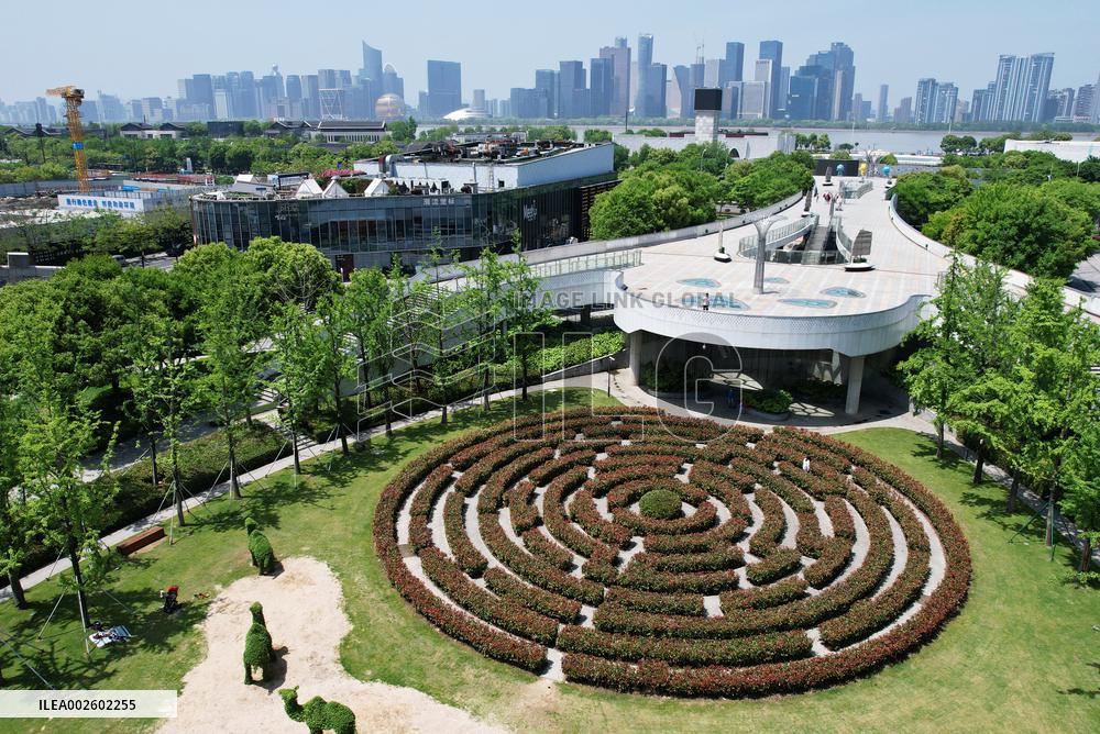 A Plant Maze in Hangzhou