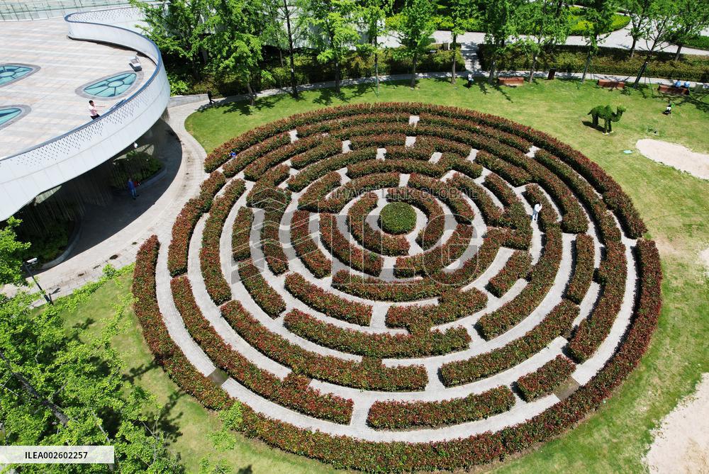 A Plant Maze in Hangzhou