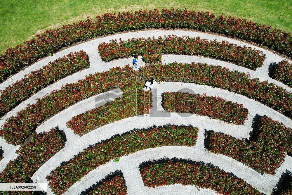 A Plant Maze in Hangzhou